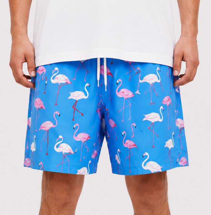 Flamingo Swim Shorts – Sky Blue